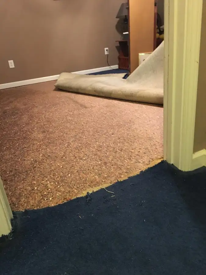 Carpet pad removal revealing water damage during Drying & Dehumidification in Norridge