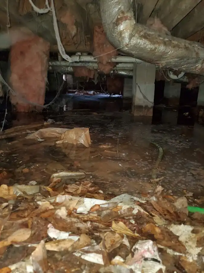 Crawl space flood assessment for Leak Detection & Repair in Norridge